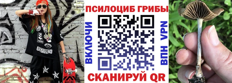 Галлюциногенные грибы мухоморы Купить где Георгиевск
