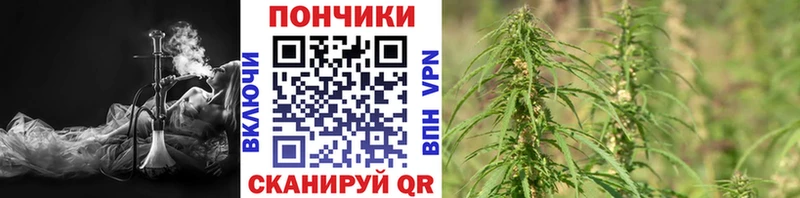 Марихуана планчик  Купить  Георгиевск 